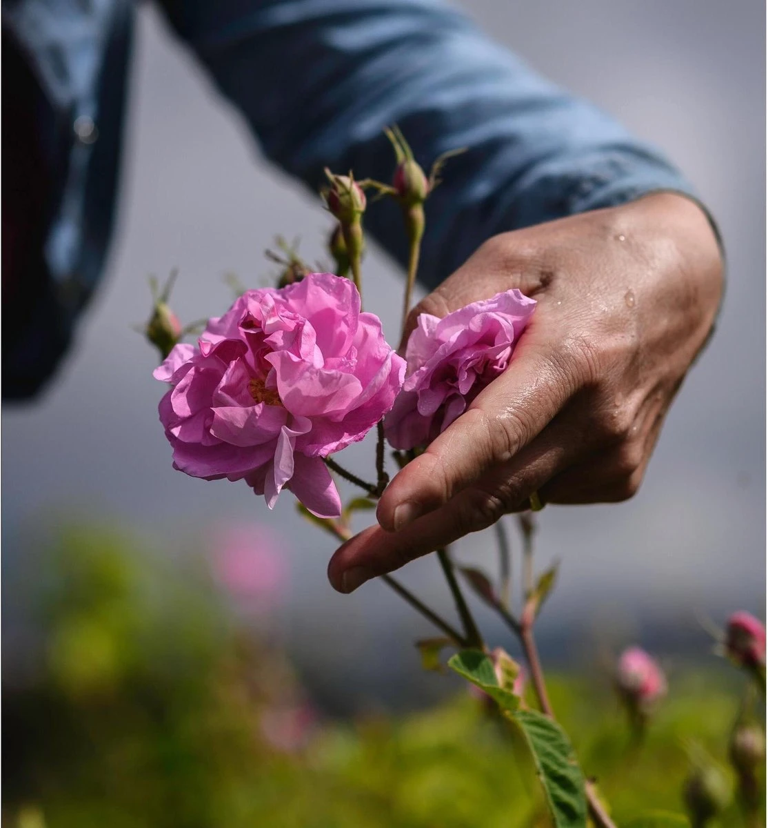 Miss Dior Absolutely Blooming 50 Ml - Eau De Parfum - Damesparfum 17 Miss Dior Absolutely Blooming 50 Ml - Eau De Parfum - Damesparfum - Afbeelding 15