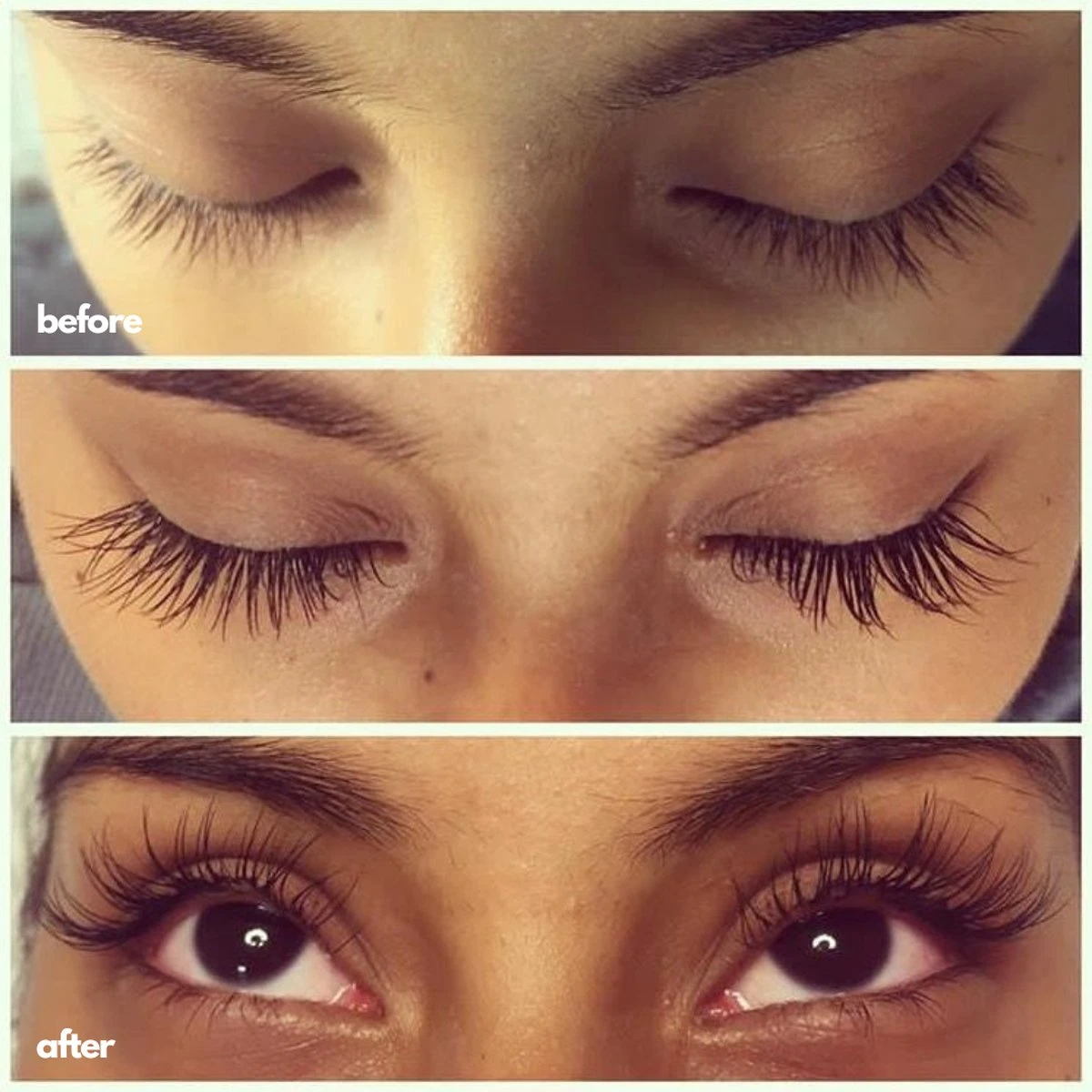 NATURA LASHES - WIMPERSERUM - LASH SERUM - EYELASH GROWTH SERUM - ECHTE RESULTATEN - TOT 55% LANGER EN 75% VOLUMINEUZER OGENDE WIMPERS 4 NATURA LASHES - WIMPERSERUM - LASH SERUM - EYELASH GROWTH SERUM - ECHTE RESULTATEN - TOT 55% LANGER EN 75% VOLUMINEUZER OGENDE WIMPERS - Afbeelding 2