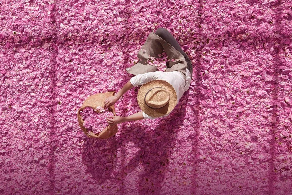 Miss Dior Absolutely Blooming 50 Ml - Eau De Parfum - Damesparfum 16 Miss Dior Absolutely Blooming 50 Ml - Eau De Parfum - Damesparfum - Afbeelding 14