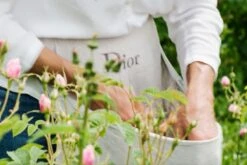 Miss Dior Absolutely Blooming 50 Ml - Eau De Parfum - Damesparfum 37 Miss Dior Absolutely Blooming 50 Ml - Eau De Parfum - Damesparfum -Modecosmetica Winkel 1200x800 12