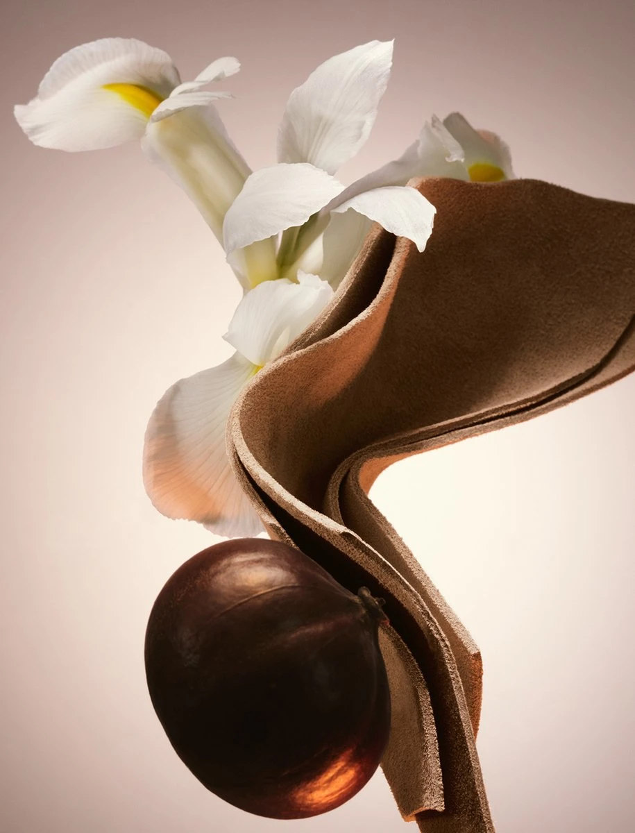 Hugo Boss The Scent Le Parfum Eau De Parfum 100 Ml 11 Hugo Boss The Scent Le Parfum Eau De Parfum 100 Ml - Afbeelding 9